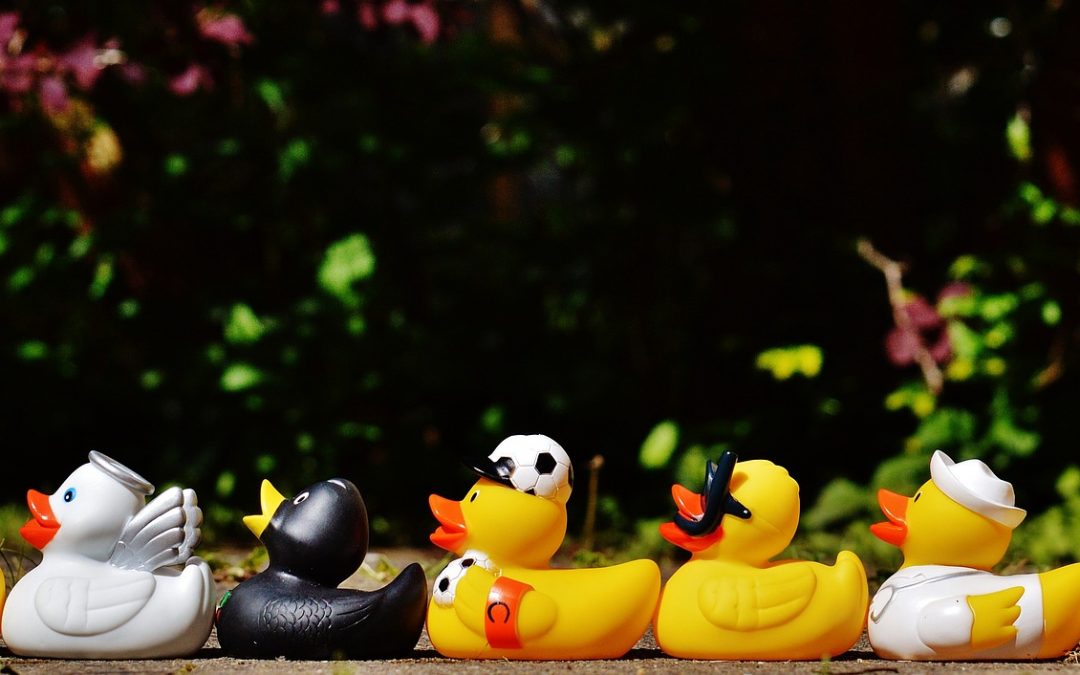ducks in a row